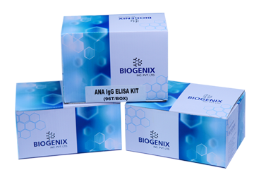 ANA IgG ELISA Kit