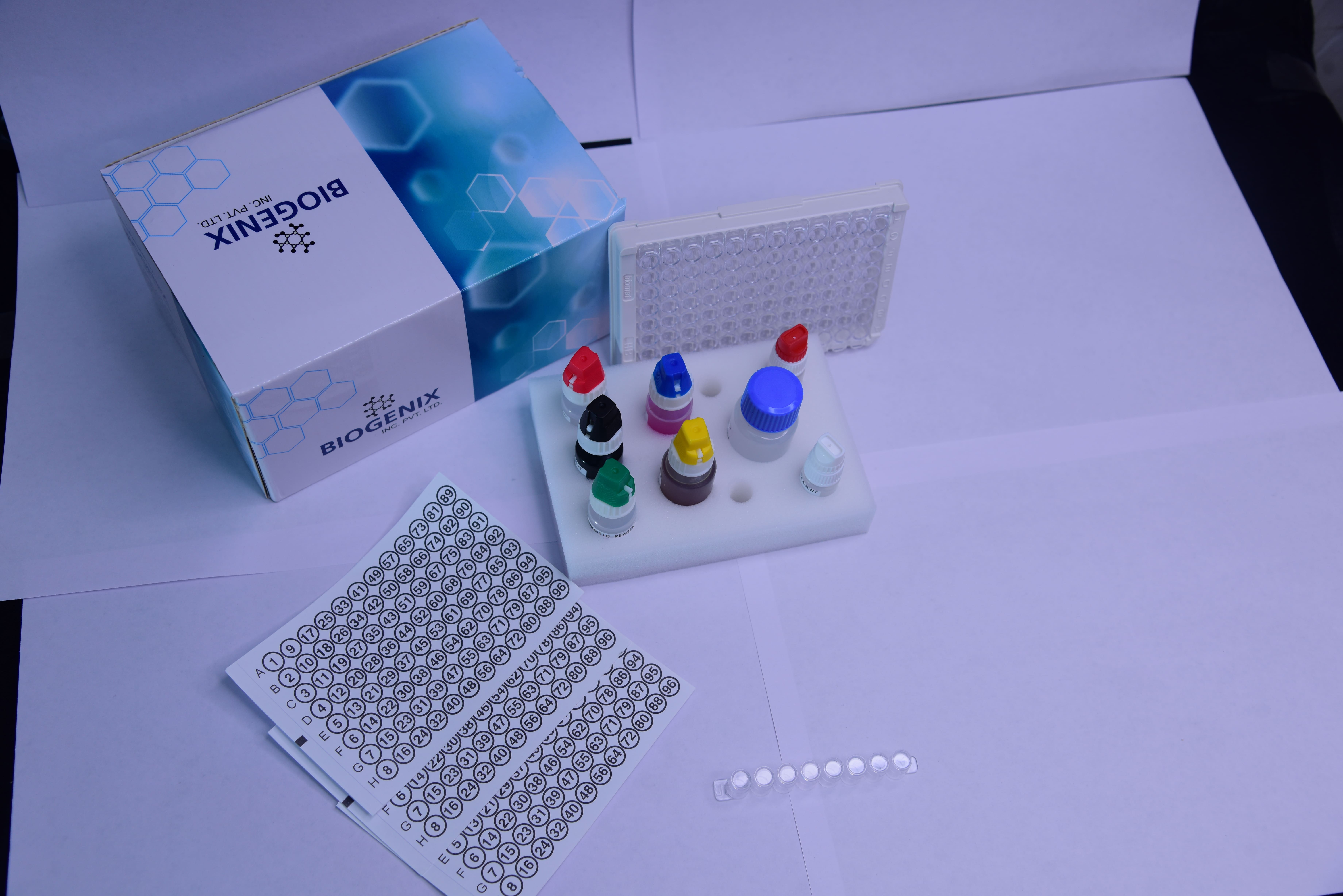 Leptospira IgG ELISA Kit