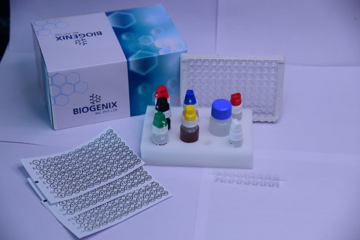 View 2
