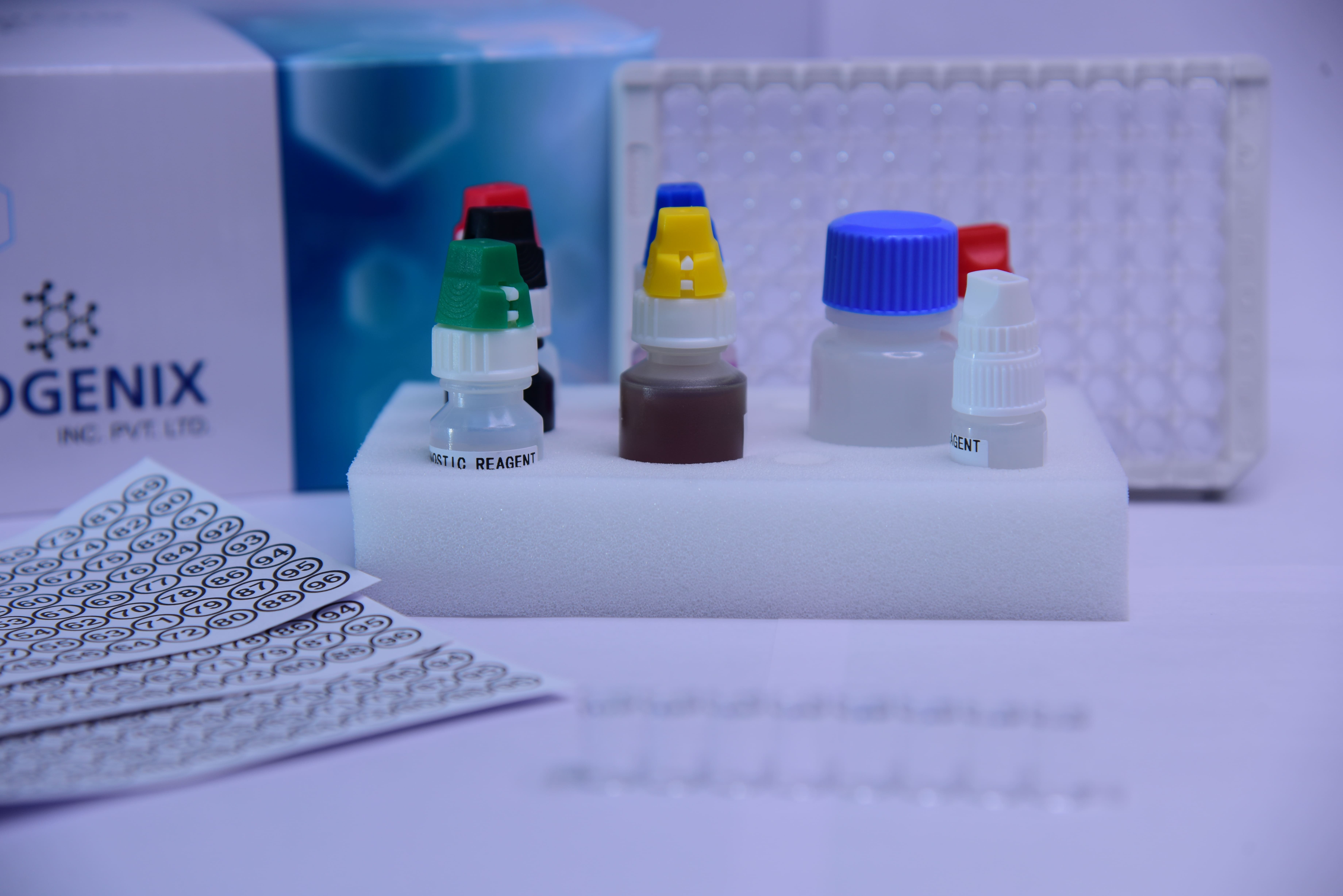 Insulin ELISA Kit