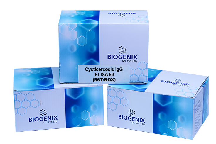 Cysticercosis IgG ELISA Kit