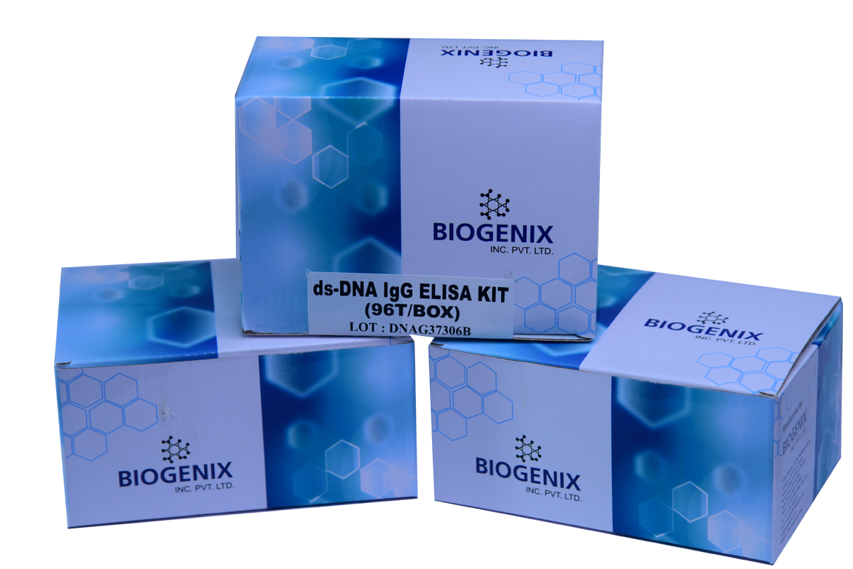 dsDNA ELISA Kit  (Qualitative)