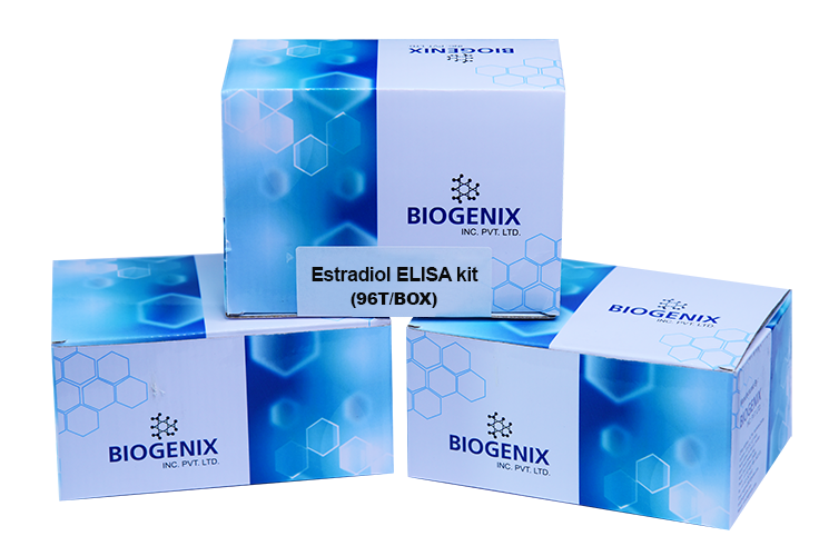 Estradiol ELISA Kit